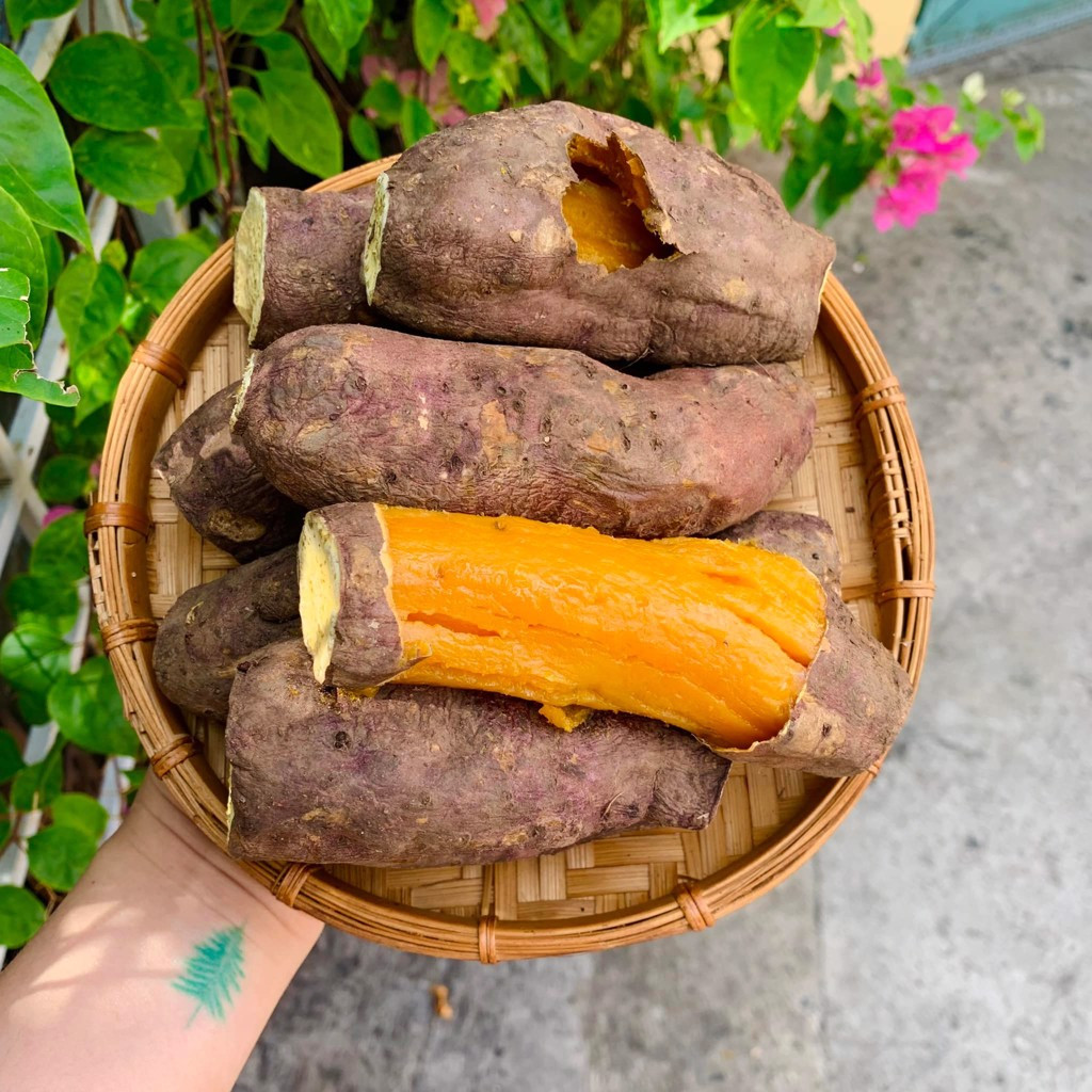 Khoai Lang Mật Tươi